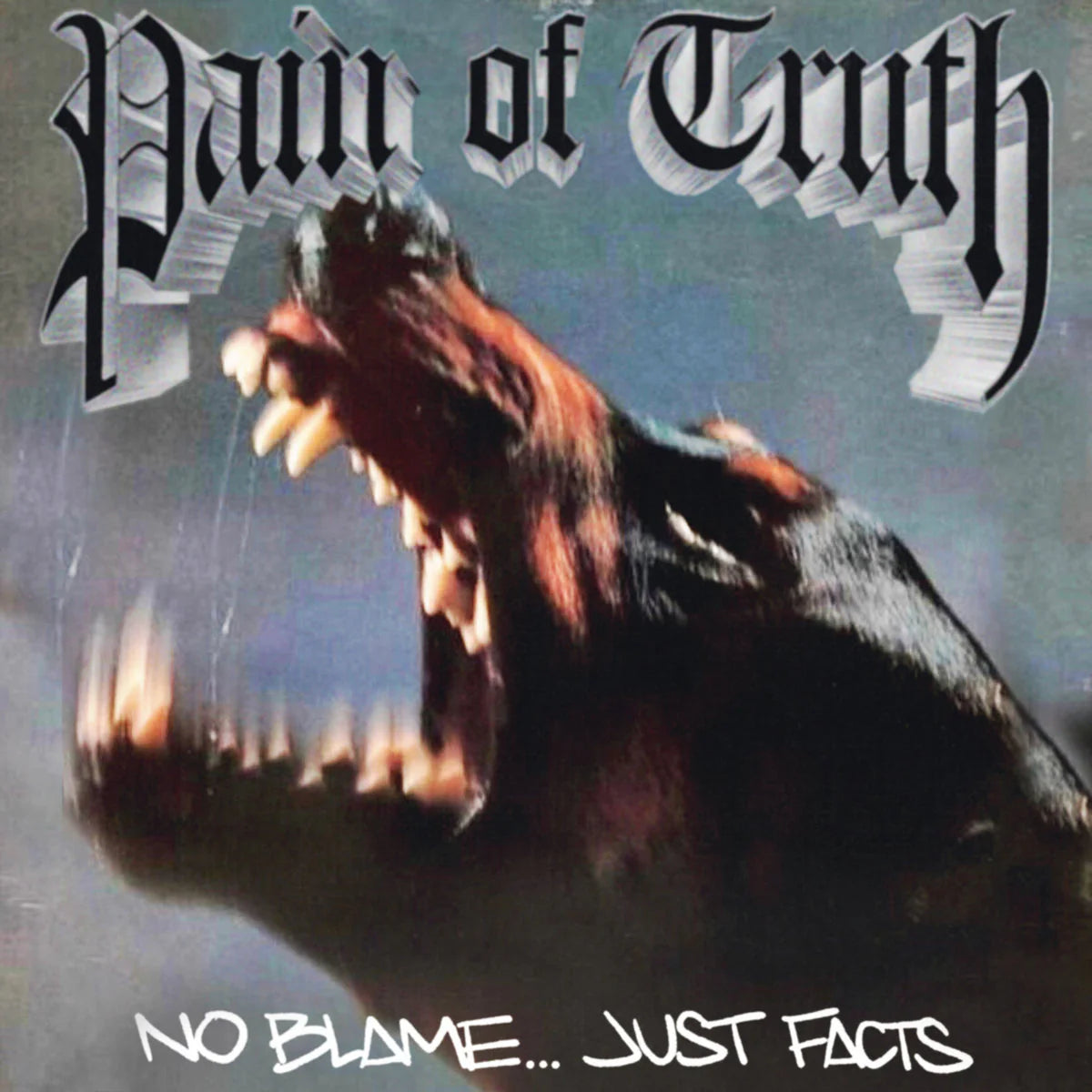 Pain Of Truth - 'No Blame... Just Facts'